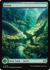 Floresta / Forest - Magic: The Gathering - MoxLand